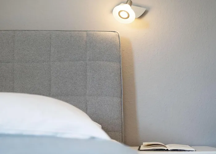 Steffis Vogelnest * شاربوتس