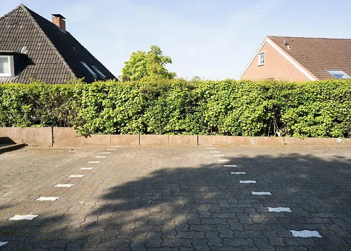 Steffis Vogelnest * شاربوتس